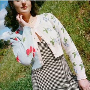 Rachel Antonoff Pastel Blue and Cream Strawberry Floral Cropped Cardigan